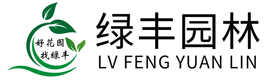 evo视讯